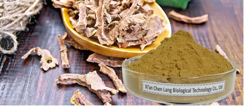 Rhodiola Rosea Extract Powder.jpg